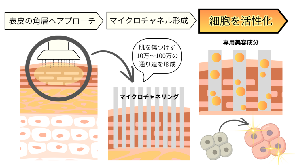 プロセルセラピーズ作用機序